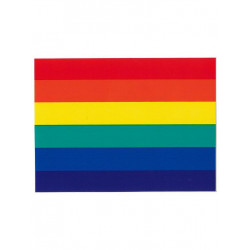 Rainbow Pride Aufkleber / Sticker 5,0 x 7,6cm / 2 x 3 inch (T1042)