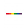 Rainbow Aufkleber / Sticker 1,0 x 9,5cm / 0.5 x 3.5 inch (T1047)
