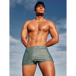 2Eros Print Bondi Bar Beach Swim Trunks V60 Jade (T8752)