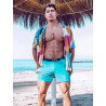 2Eros Bondi Bar Beach Swim Shorts S60 Breeze Green (Series 3) (T8934)