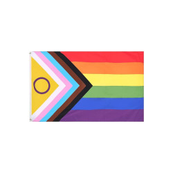 Progress Rainbow Flag 2021 (90 x 150 cm) (T9911)