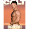 Hawaii DVD (Colt) (03805D)