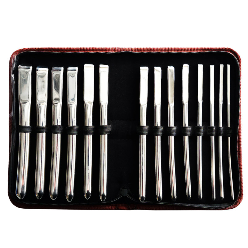 Rouge Stainless Steel 14 Piece Dilator Set (T11387)