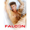 The Men of Falcon Studios 2027 Calendar (M1124)