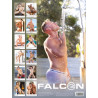 The Men of Falcon Studios 2027 Calendar (M1124)