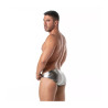 ToF Paris Fiesta Mini Brief Underwear Silver (T11744)