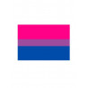 Bisexual Flag Magnet (T5130)
