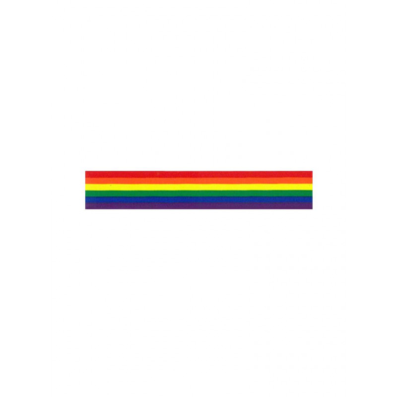 Rainbow Aufkleber / Sticker 2,54 x 25,4 cm / 1 x 10 inch (T5194)