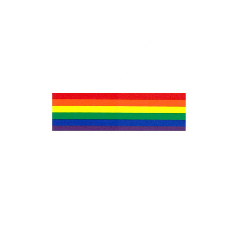 Rainbow Aufkleber / Sticker 4,50 x 25,4 cm / 2 x 10 inch (T5195)